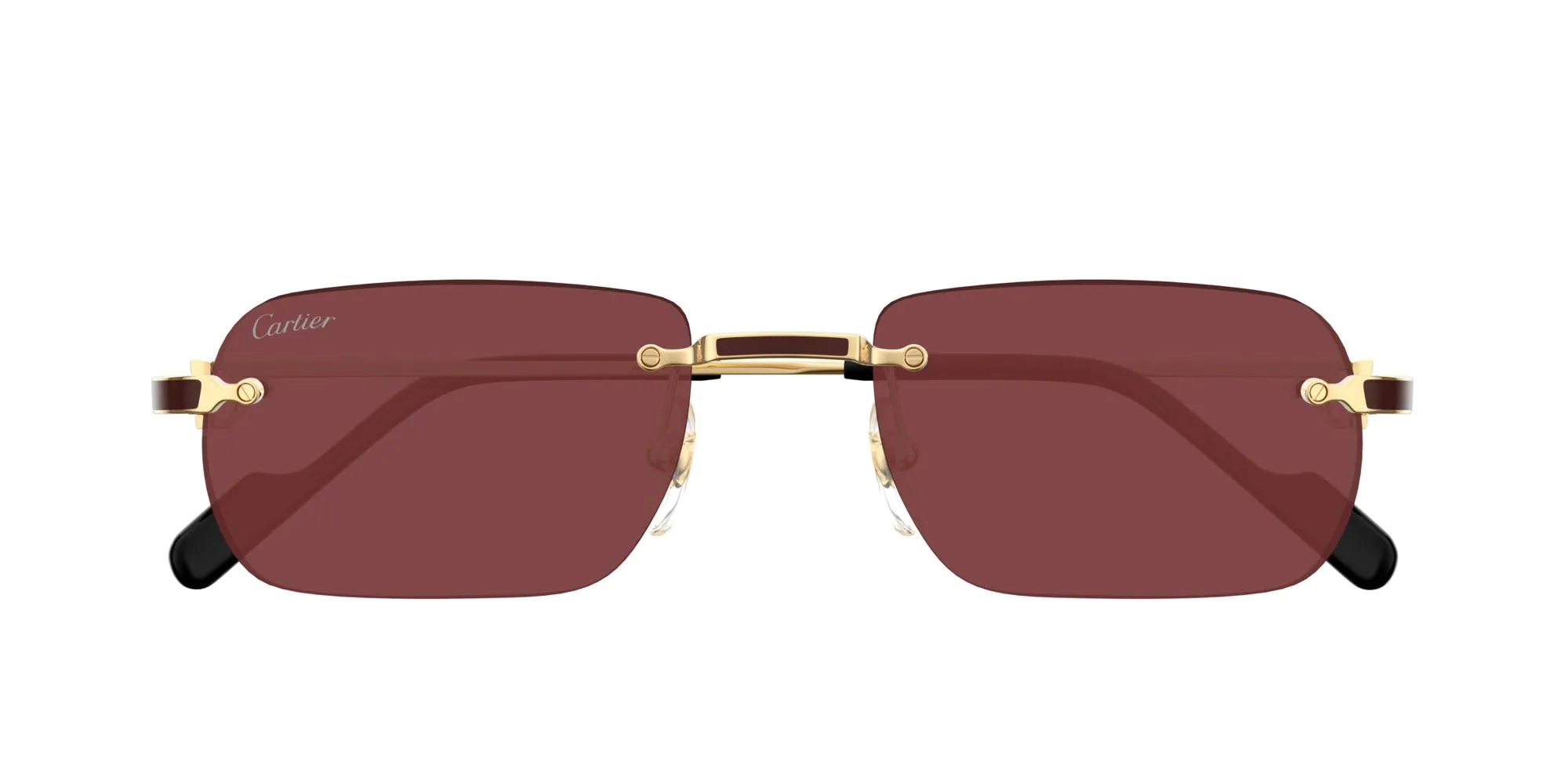 Cartier CT0498S