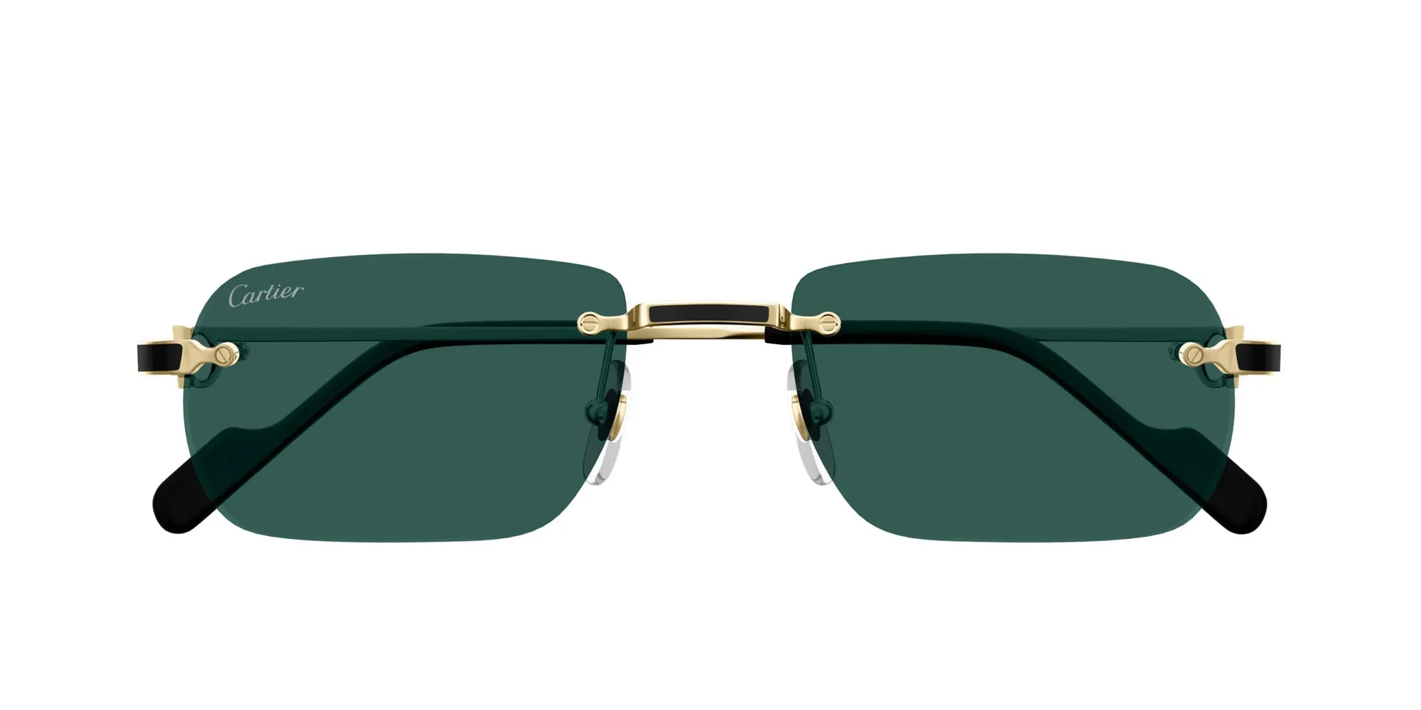 Cartier CT0498S