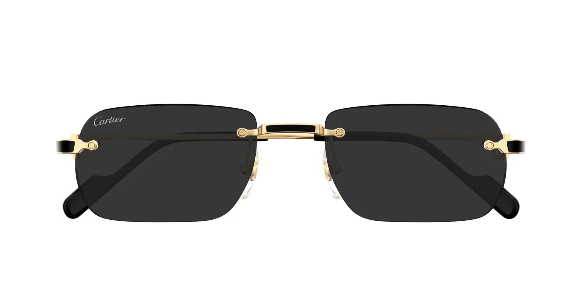 Cartier CT0498S