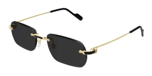 Cartier CT0498S