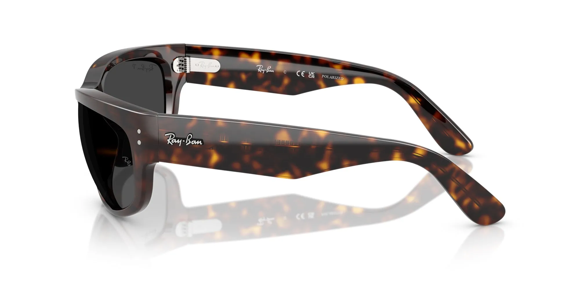 Ray-Ban Mega Balorama RB2289