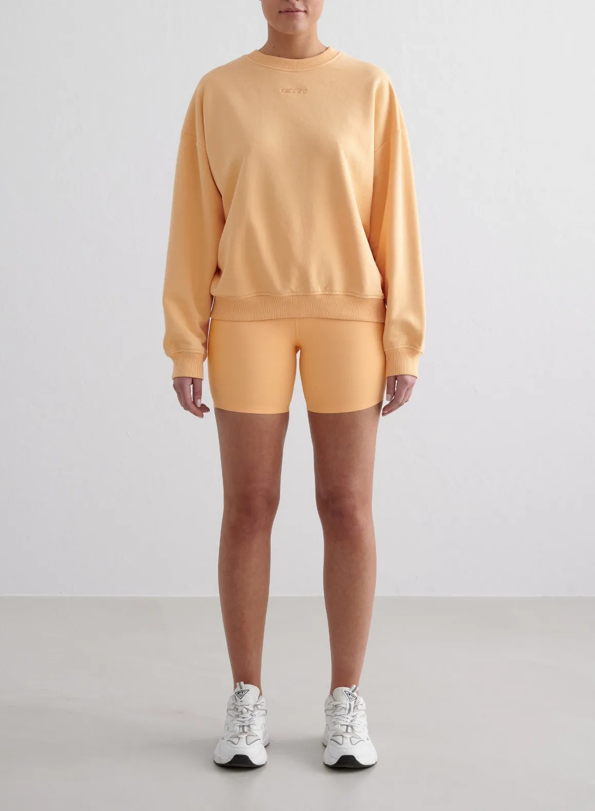 Sorbet Terry Sweatshirt