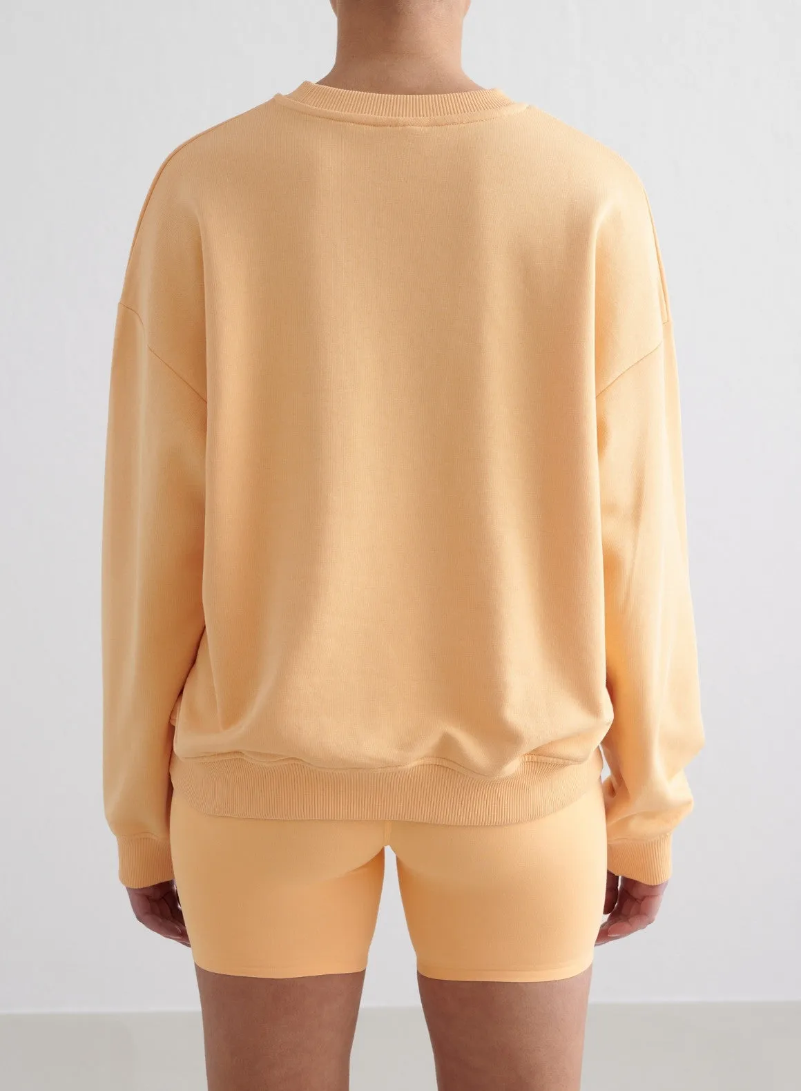 Sorbet Terry Sweatshirt
